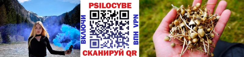 Псилоцибиновые грибы Psilocybe  мега ТОР  Новый Оскол 