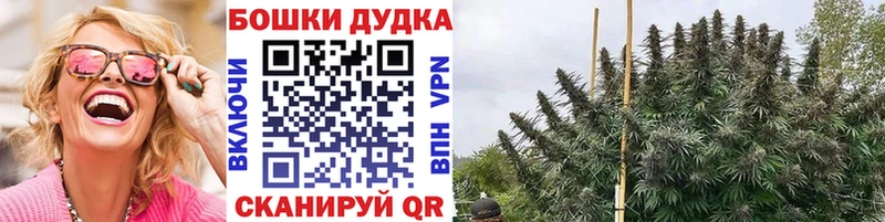 Бошки марихуана план  Новый Оскол 